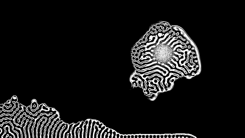 Pulsating Life